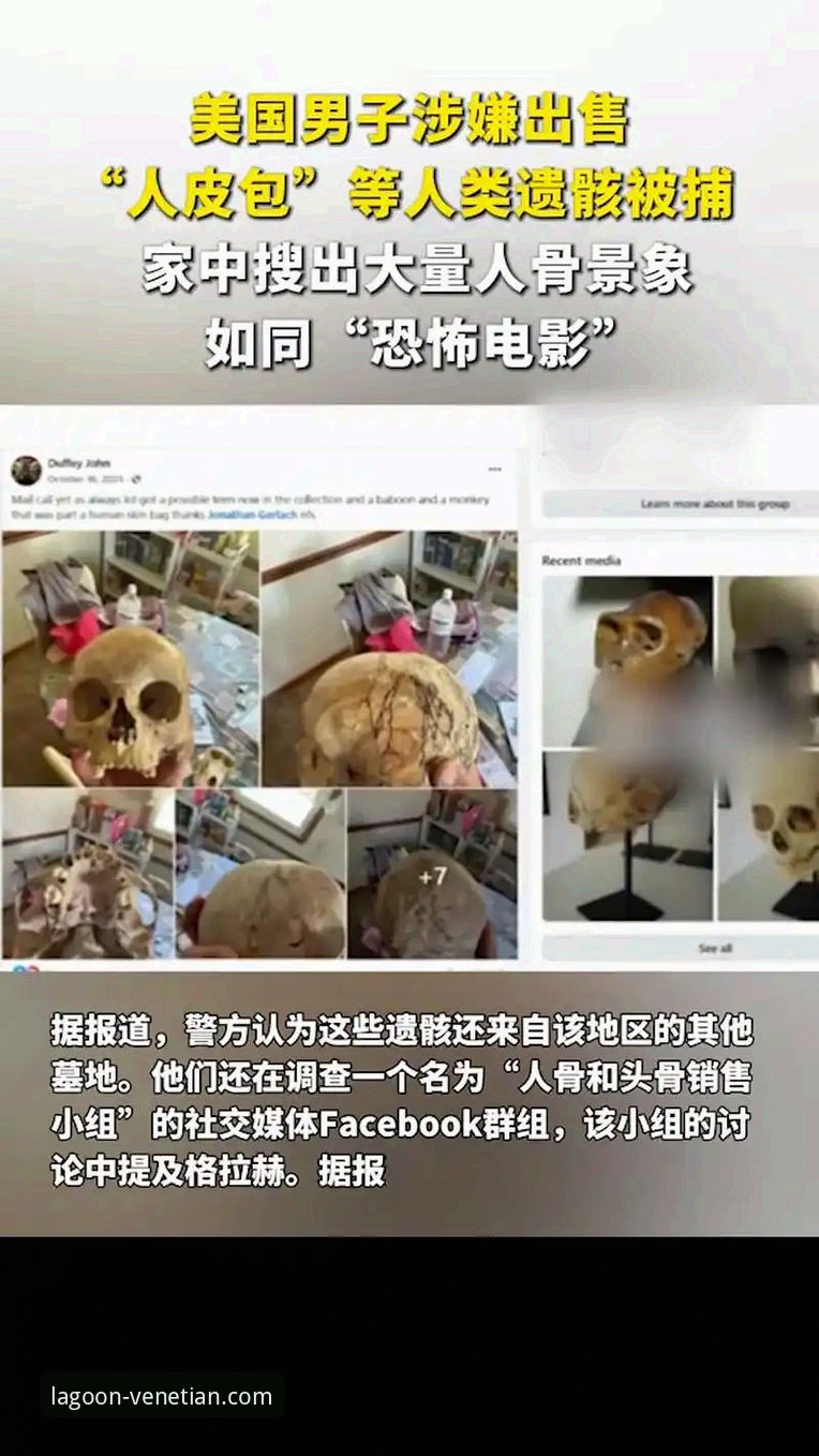 深度揭秘：威尼斯人APP下载失败背后真相，资深玩家经验全公开